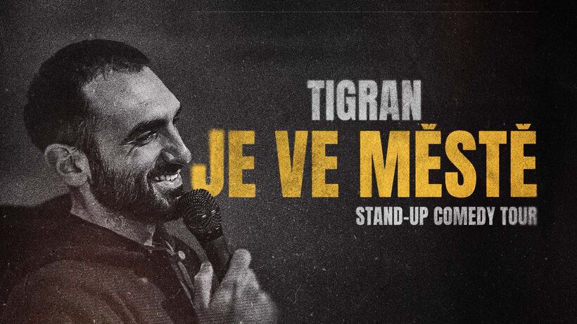 svanci plakat