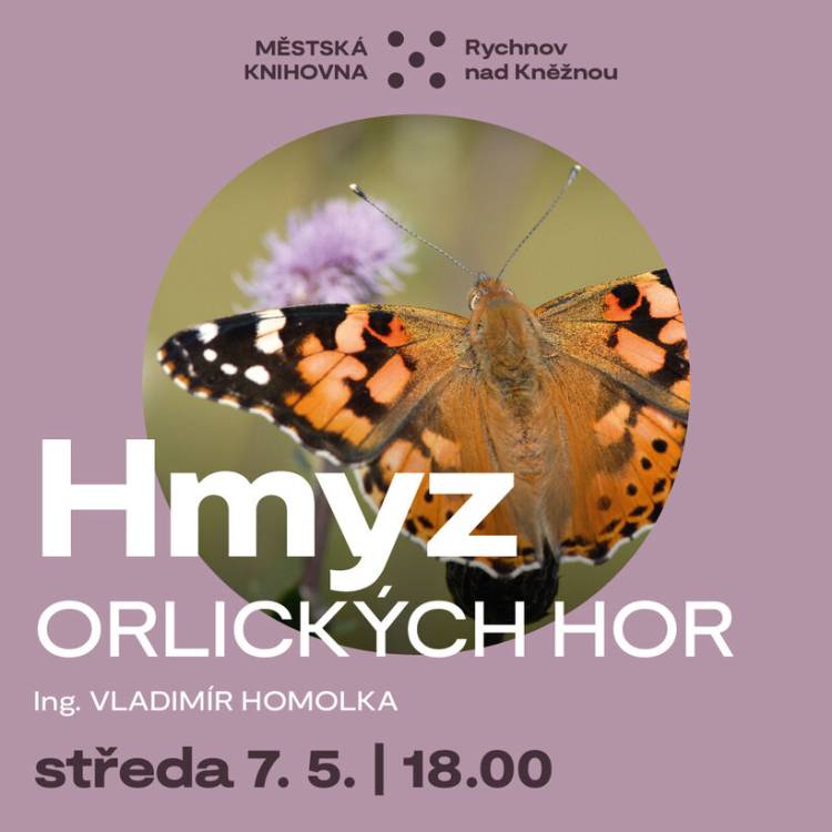 Hmyz Orlických hor