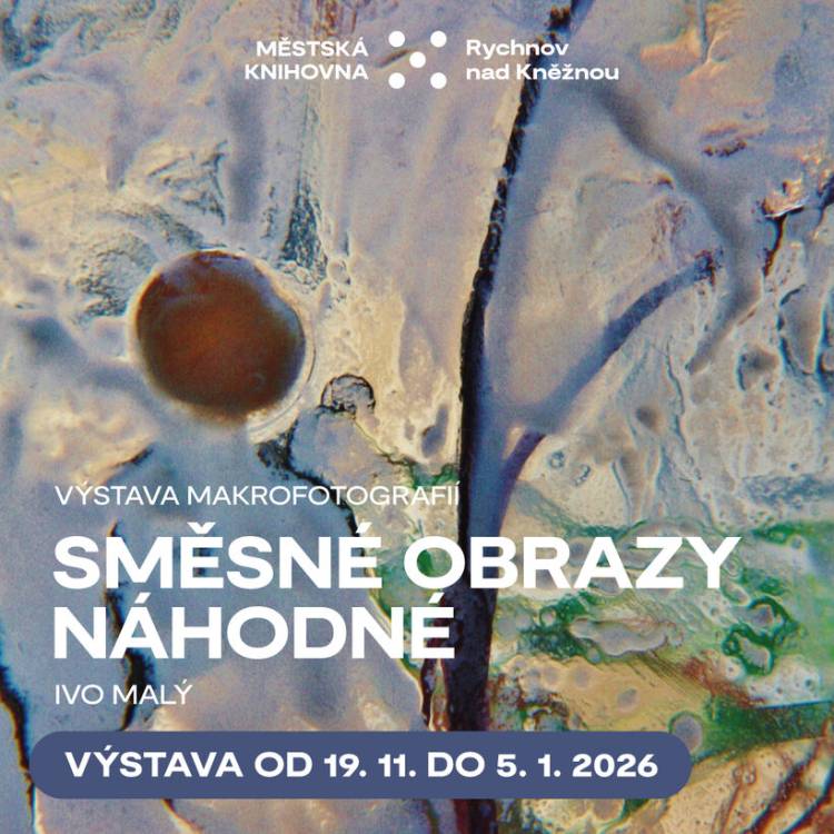 Směsné obrazy náhodné - výstava makrofotografií 