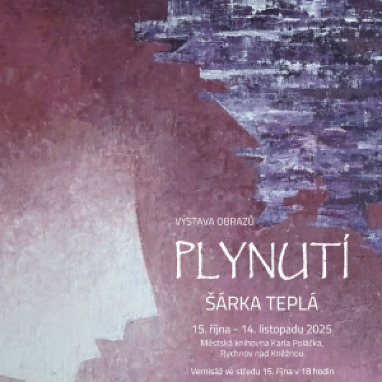 Plynutí