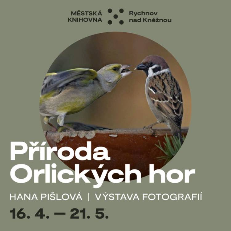 Příroda Orlických hor